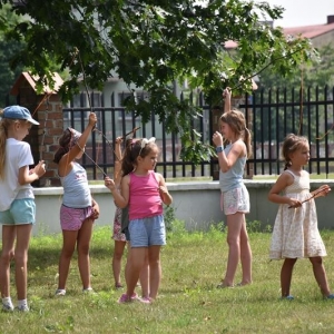 Grupa dzieci bawi się na ogrodzonym zielonym terenie.