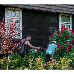 Biała plansza na której znajduje się zdjęcie - stary dom z brązowych desek, otoczony krzewami róż. Dwie osoby stoją przy roślinach i zrywają kwiaty. Obok znajduje się tekstowy opis.   